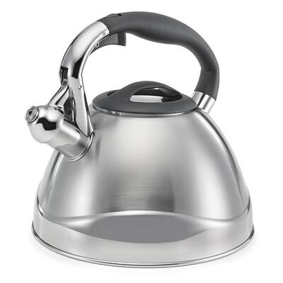 10-Cup Retro Stainless Steel Tea Kettle