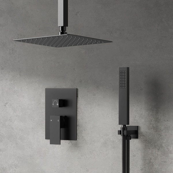 2-Spray Patterns with 2.5 GPM 10 in. Rainfall Shower Head Solid Brass Ceiling Mount Dual Shower Heads in Matte Black