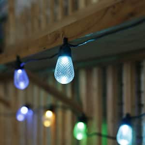 Outdoor 48 ft. 24-Light Solar Powered Edison Bulb LED String Light with Color Change Feature and Remote