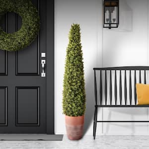 Spring 60 in. Green Artificial Boxwood Topiary in Terracotta Pot