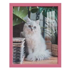 Modern 11 in. x 14 in. Hot Pink Picture Frame