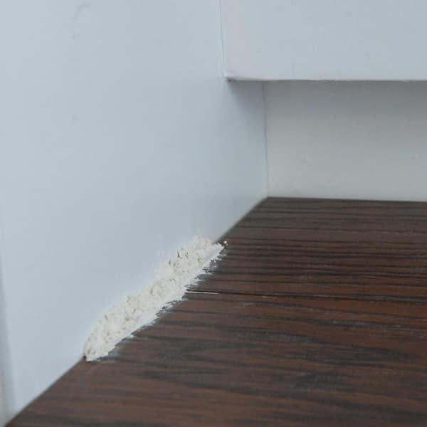 Bed Bug Flea Ant Crawling Insect, Flea Control Hardwood Floors