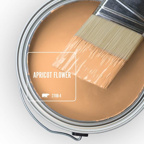 https://images.thdstatic.com/productImages/7840ad52-5b4c-4577-acc5-de231a93e99e/svn/apricot-flower-behr-marquee-paint-colors-345401-c3_600.jpg