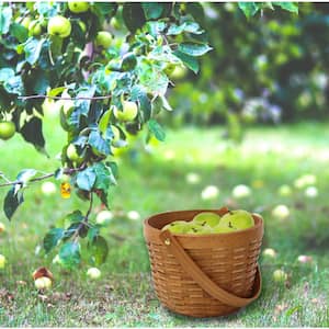 6 in. H x 8 in. W x8 in. D Wood Chip Apple Picking Basket Small