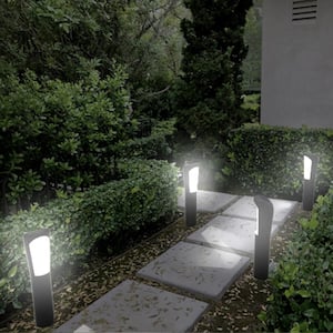 Solar Black Integrated LED Garden and Path Light with Directional Amber or White Light