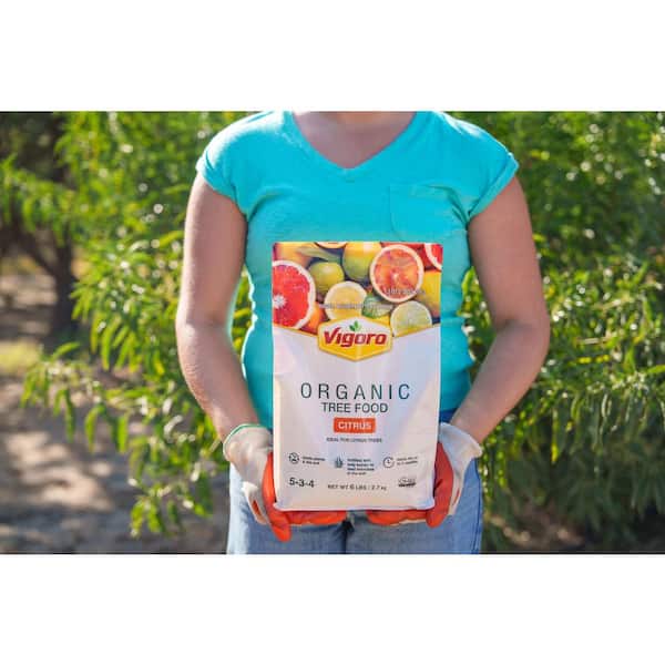 Vigoro 6 lb. Organic Citrus Dry Plant Food Fertilizer 5-3-4 P0014