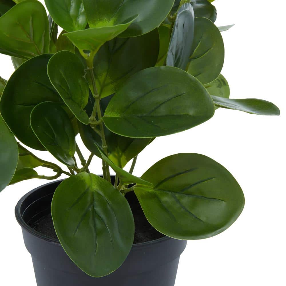 13" Green Artificial Eucalyptus Plant in Black Pot