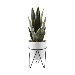 15.25 in. Artificial H Faux Snake Plant in 4.75 in. Artificial White Pot on Black Metal Stand