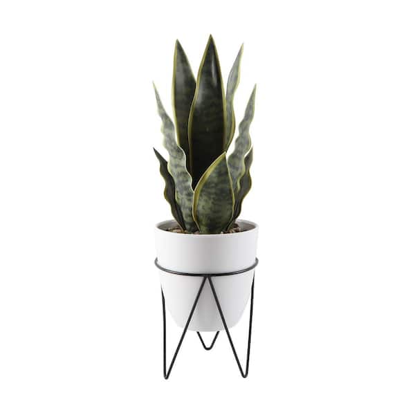 Flora Bunda 15.25 in. Artificial H Faux Snake Plant in 4.75 in. Artificial White Pot on Black Metal Stand