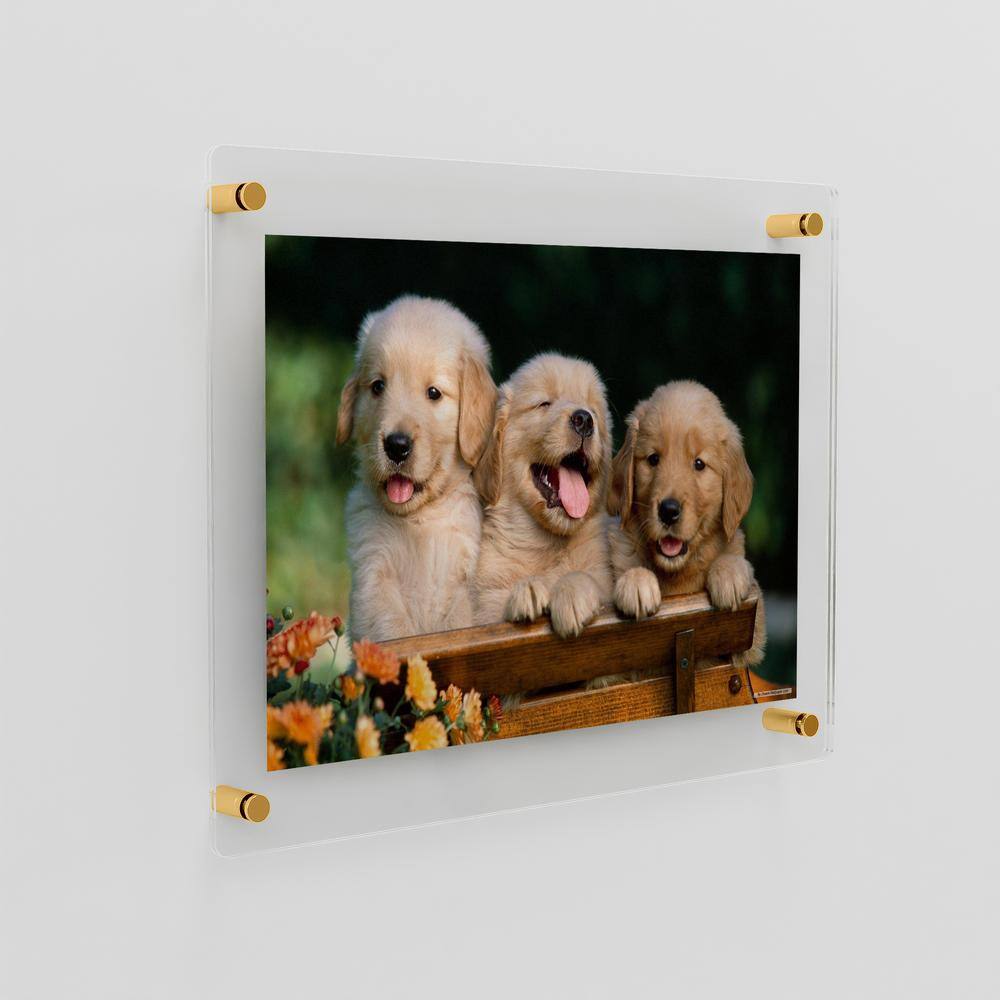 Gold Acrylic Floating Frameless Wall Frame 40x40 for Certificates