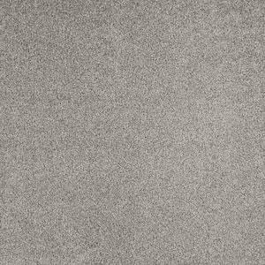 Phenomenal II  - Eclipse - Gray 62.7 oz. Triexta Texture Installed Carpet