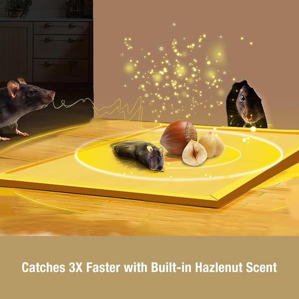 ZINGZAP 13-Pack Mouse & Insect Glue Traps/Board, 3X Faster Catch