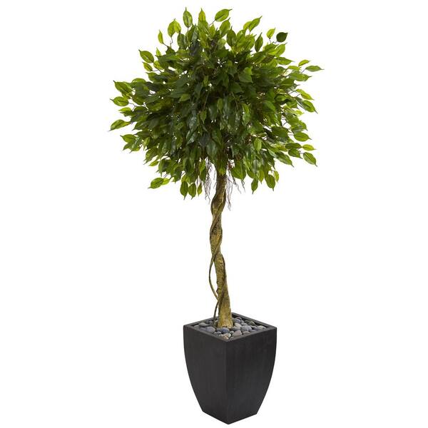 Nearly Natural 5.5 ft. High Indoor/Outdoor Ficus Artificial Tree in Black Wash Planter