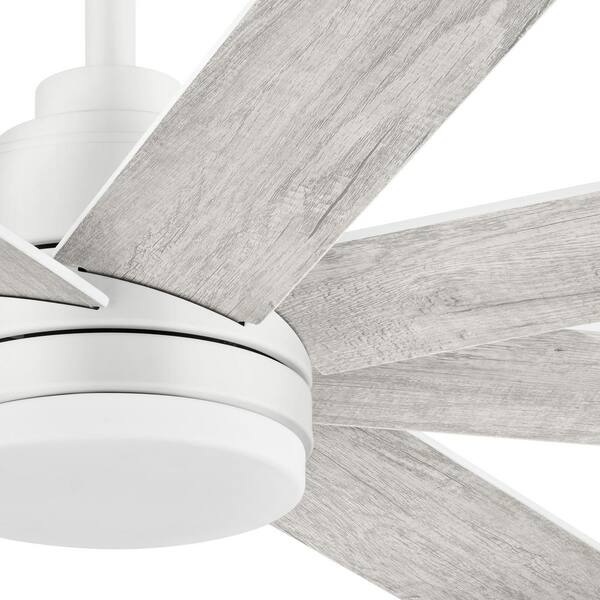 New Celene deals 62 inch ceiling fan