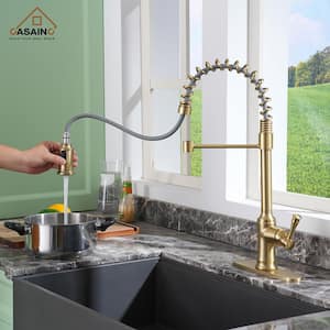 Single Handle 21-Inch Pull Down Sprayer Kitchen Faucet with Dual Function Sprayhead, Deckplate Included in Brushed Gold