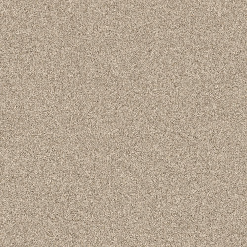 8 in. x 8 in. Texture Carpet Sample - Coastal Charm II -Color Cabana price history on PriceWatchPro