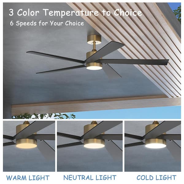 ふふ Reviews for FUFU&GAGA 55 in. Integrated LED Indoor/Outdoor