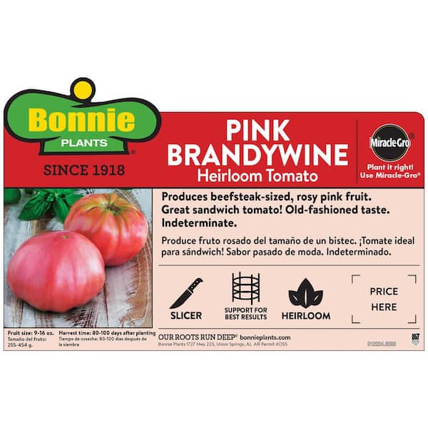 Bonnie Plants 19 oz. Pink Brandywine Heirloom Tomato Plant 0236