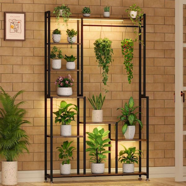 CSC DECOR INC 71 in. H Walnut MDF Indoor Plant Stand with 4 Grow