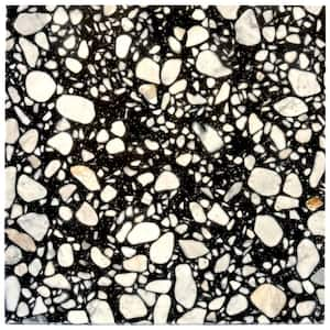 Terraforma 24 in. x 24 in. Polished Jet Black  Marble Terrazzo Large Format Wall and Floor Tile 15.5 sq. ft./Case-4 Pack