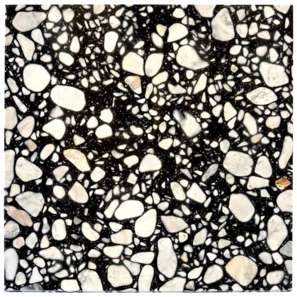 Terraforma 4 in. x 5 in. Polished Jet Black Marble Terrazzo Large Format Wall and Floor Tile Sample