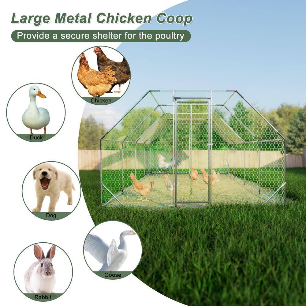 Large Galvanized Metal Walk-In Chicken Coop with Tarp Cover