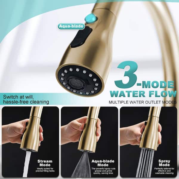16.9 in. Single-Handle Pull-Down Sprayer Kitchen Faucet with 360 ° Swivel Spout in Brushed Gold