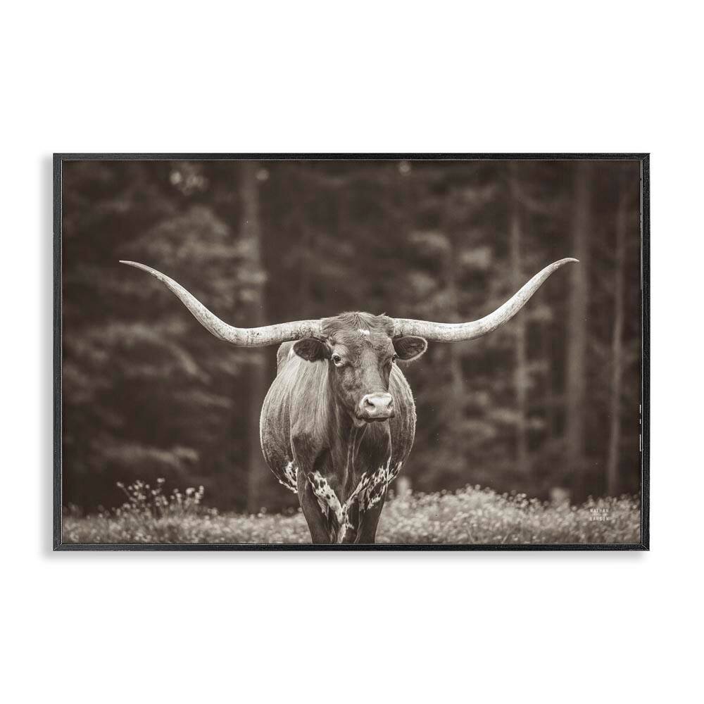 Longhorn Among Flowers by Nathan Larson Black Framed Animal Giclee Art Print 16 in. x 24 in. price history on PriceWatchPro