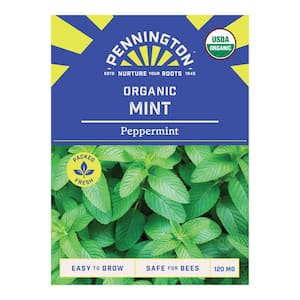 Organic Peppermint Herb Seeds