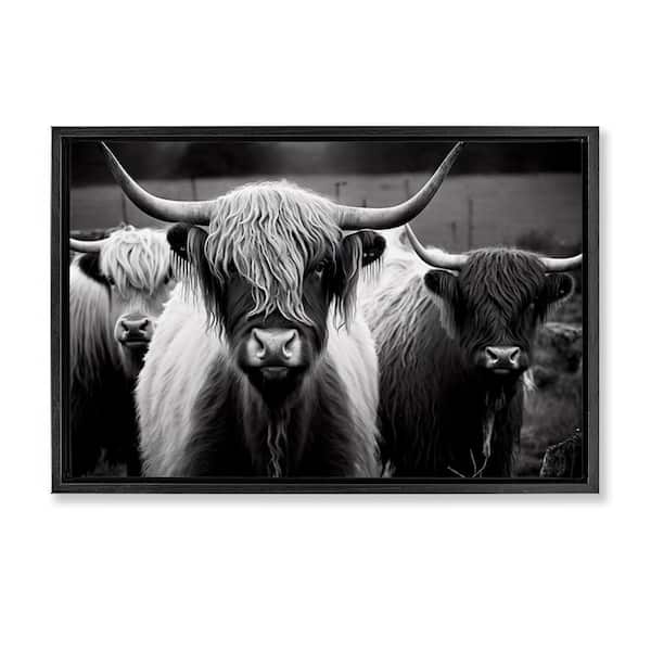 Stupell Industries Black & White Highland Cows by Franklyn Gregory Black Floater Frame Animal Graphic Art Print 21 in. x 31 in.