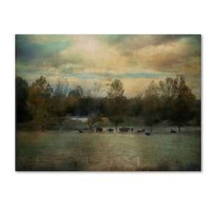 14 in. x 19 in. Sunrise On The Farm by Jai Johnson Floater Frame Country Wall Art