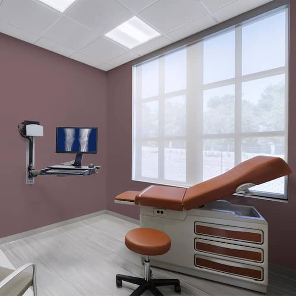 1 gal. #HDC-CL-07 Dark Berry Dead Flat Interior Paint