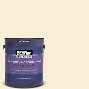 1 gal. #W-D-420 Beach White Ceiling Flat Interior Paint and Primer