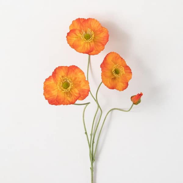 SULLIVANS 23 in. Cosmic Orange Artificial Poppy