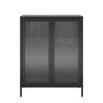 Ashbury Heights 31.5 in. W Wood Closet System with Fluted Glass Metal Locker, Black