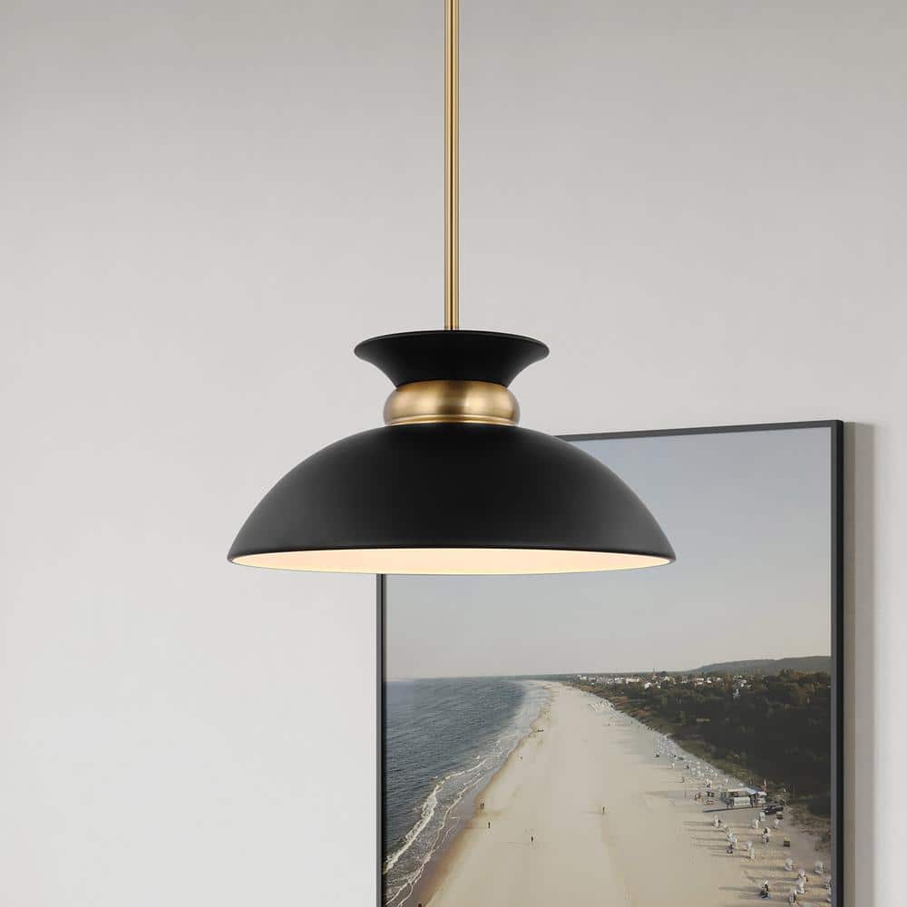 Matte Black and Burnished Brass 15" Pendant Light