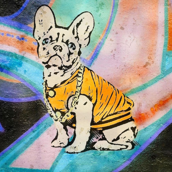 VENICE BEACH Collections Boujee Dog Crossroads 1 by Grotto Studios 1 Piece Unframed Graphic Print Abstract Poster Art Print 20 in. x 20 in.