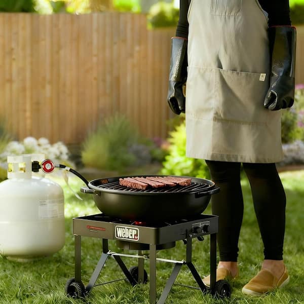 5 ft. Gas Propane Regulator and Hose Conversion Kits with Brass Adapter