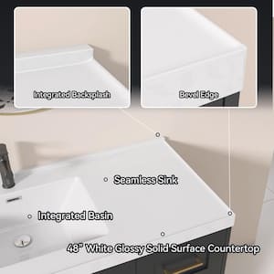 42 in. W. x 22 in. D x 36 in. H Bathroom Vanity Single Sink Bath Vanity Cabinet in Dark Gray with White Solid Resin Top