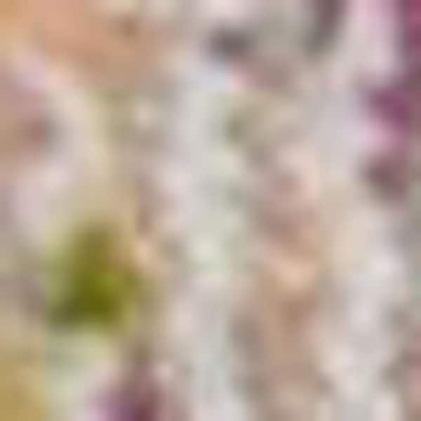 2 ft. x 6 ft. Blue Medallion Washable Area Rug Runner Rug