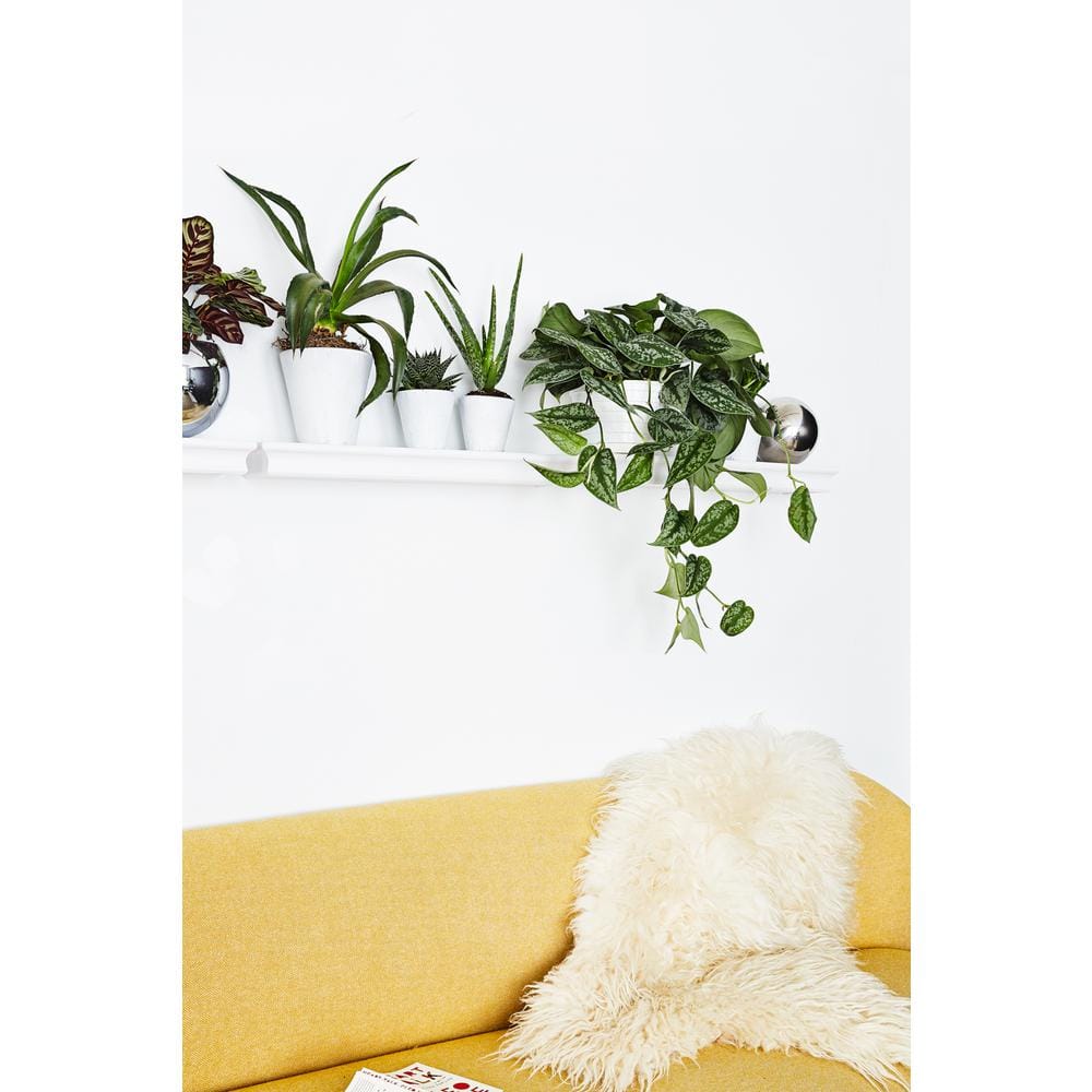 18" White Wooden Floating Wall Shelf