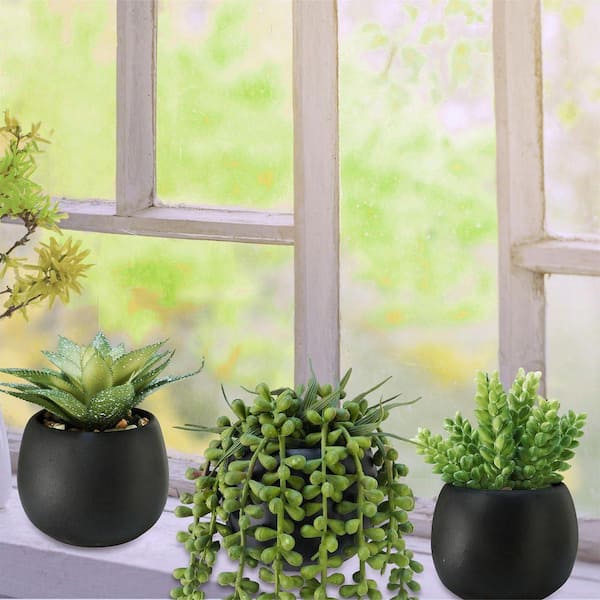 Unbranded 3 Pack 5.1 in. Artificial Succulents: Desk Decor for Home Office  WK1151