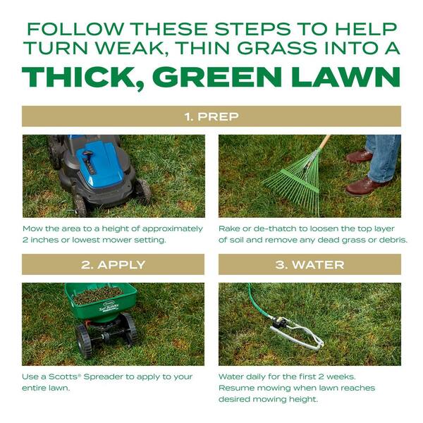 Soil When To First Mow New Grass How Long To Leave Grass Seed