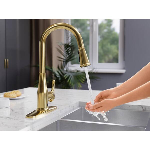 ANZZI Rodeo Brushed Nickel 1-Handle Deck-Mount Pull-Out Handle Kitchen Faucet (Deck Plate Included) ANZZI Rodeo Brushed Nickel 1-Handle Deck-Mount Pull-Out Handle Kitchen Faucet (Deck Plate Included)