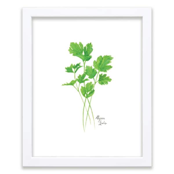 Unbranded Nature's Lace 2 "Parsley" by Alyssa Lewis Individual White Framed Nature Art Print 24 in. x 18 in.