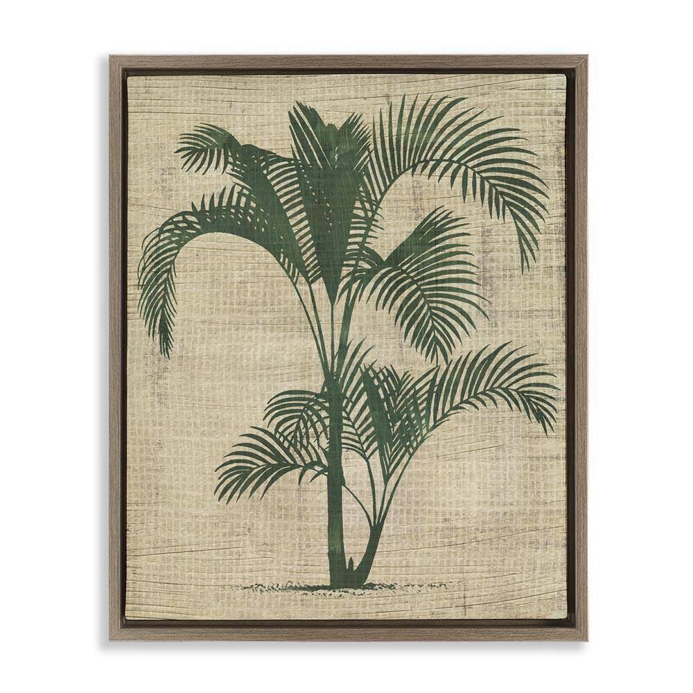 Palm on Woven Pattern by June Erica Vess Brown Floater Frame Nature Graphic Art Print 21 in. x 17 in. price history on PriceWatchPro
