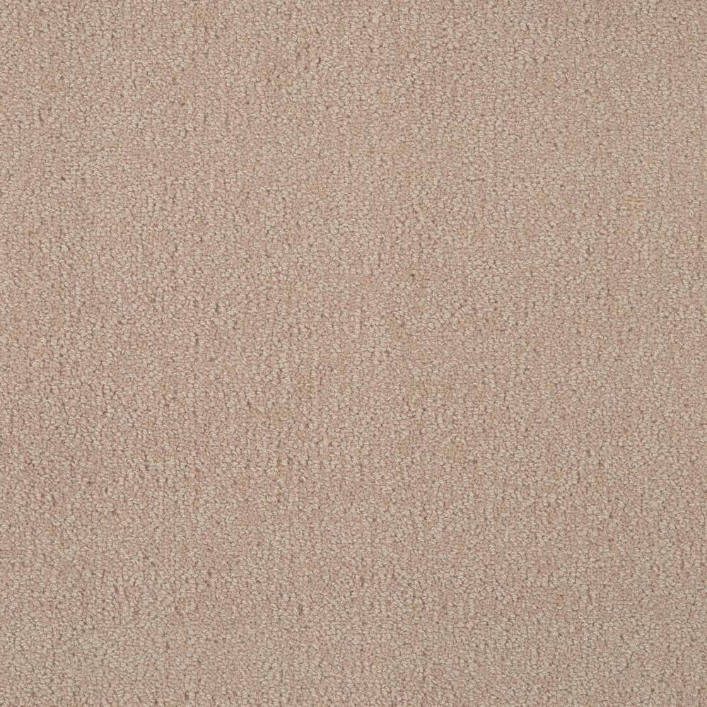 6 in. x 6 in. Texture Carpet Sample - Feather - Color Brush price history on PriceWatchPro