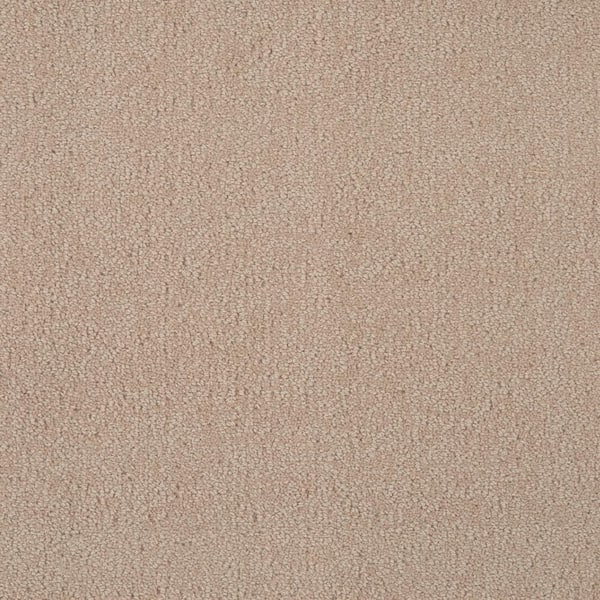 Natural Harmony 6 in. x 6 in. Texture Carpet Sample - Feather - Color Brush