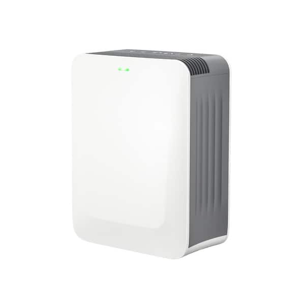 280 sq. ft. HEPA-True Personal Room Air Purifier in White with Timer