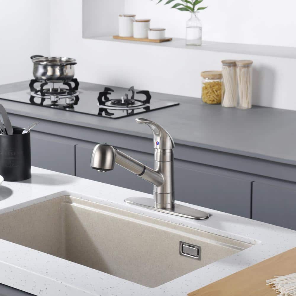 Stainless Steel Single Handle Pull-Out Kitchen Faucet